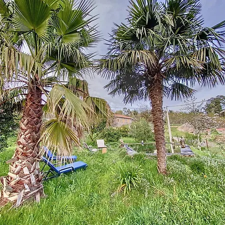 Casa Da Figueira * Sao Torcato (Braga)