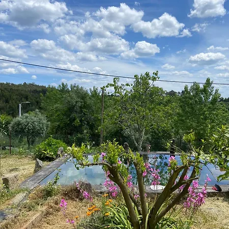 Casa Da Figueira Sao Torcato (Braga)
