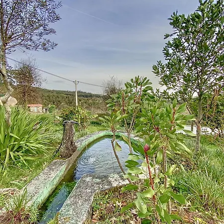 Casa Da Figueira Sao Torcato (Braga)