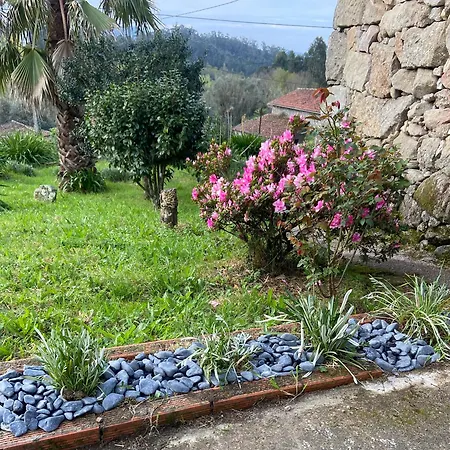 Casa Da Figueira