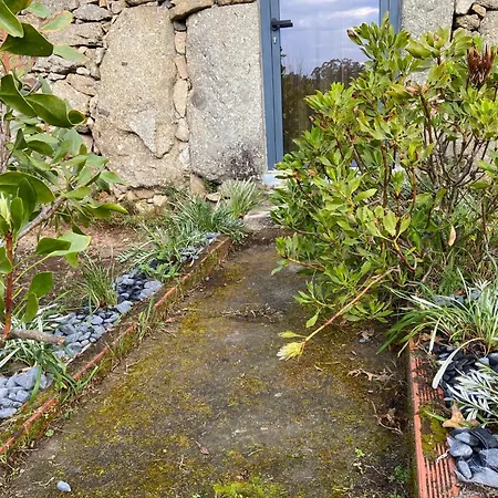 Casa Da Figueira 別荘 São Torcato