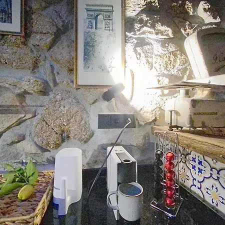 Casa Da Figueira 別荘 São Torcato