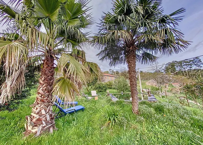 Casa Da Figueira * Sao Torcato (Braga)