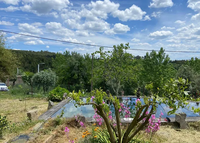 Casa Da Figueira Sao Torcato (Braga)
