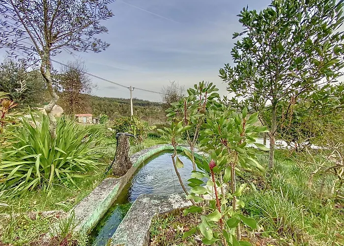 Casa Da Figueira Sao Torcato (Braga)