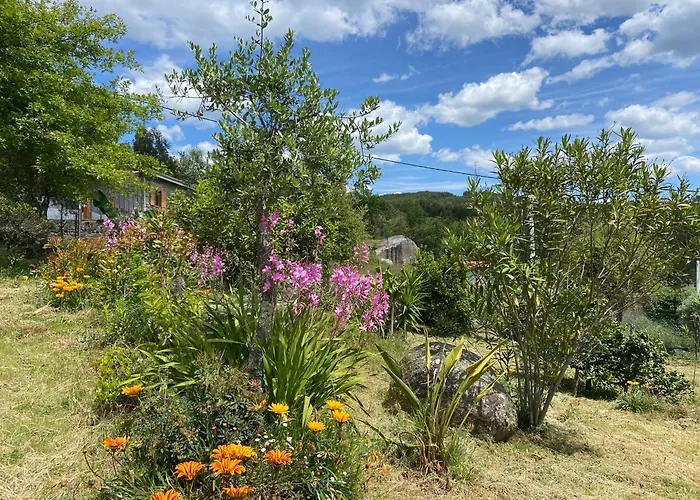 Ferienhaus Casa Da Figueira